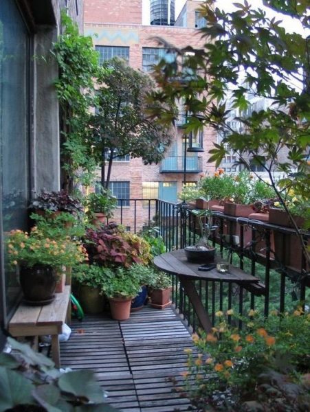 Garden In Balcony