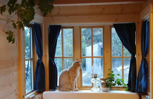 Off-grid Tiny House On Wheels Cat On Windows