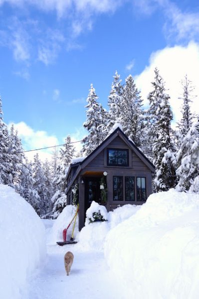 Off-grid Tiny House On Wheels