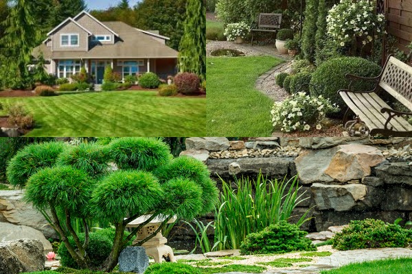 Why Landscape Designing Is Important For You