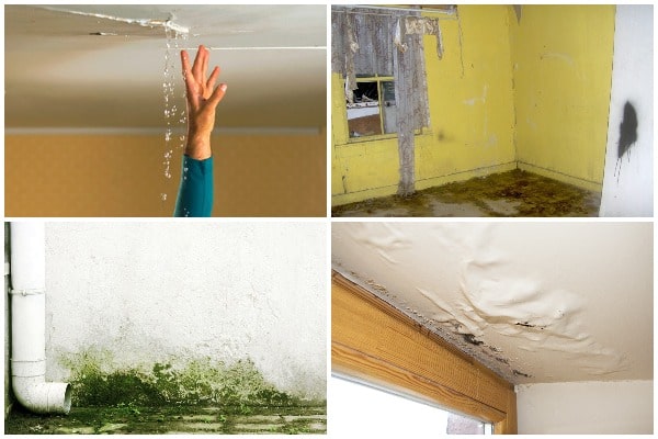 6 Signs of Water Damage Homeowners Should Never Ignore