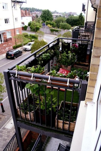 Planting On Small Balcony