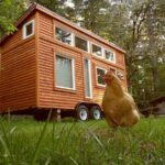 Tiny Tea House Exterior View