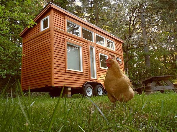 Tiny Tea House Exterior View