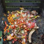 How to Make Your Backyard More Eco-Friendly - Green waste