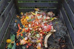 How to Make Your Backyard More Eco-Friendly - Green waste