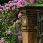 How to Improve Your Home's Curb Appeal this Spring