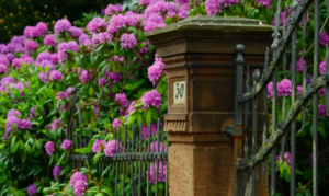 How to Improve Your Home's Curb Appeal this Spring