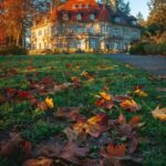 Get your house fall-ready with these easy tips