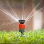 All You Need to Know about a Sprinkler System