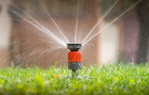 All You Need to Know about a Sprinkler System