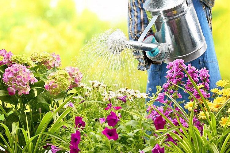 Ways to Keep Your Garden Healthy 3