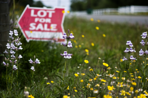 Three Easy Ways to Increase Your Land Value