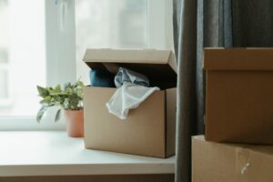Tips To Manage Moving Out On Your Own 