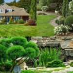 Why Landscape Designing Is Important For You