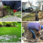 5 Warning Signs of a Sewer Line Leak You Should Never Ignore