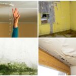 6 Signs of Water Damage Homeowners Should Never Ignore