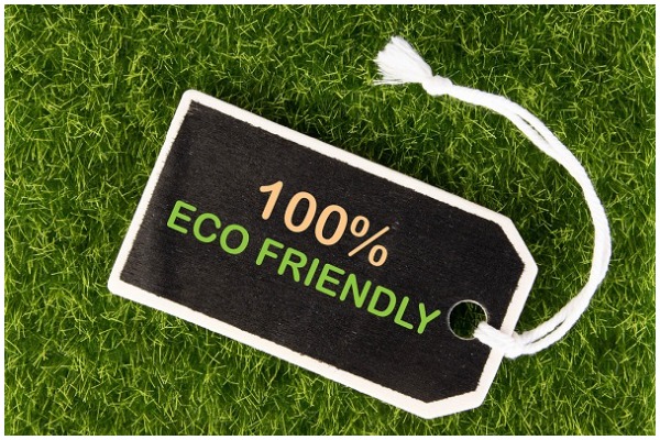 Make Your Move Eco Friendly