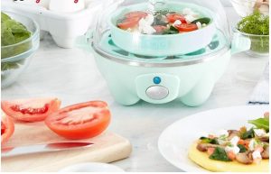 Best Electric Egg Cooker