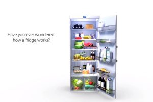 How A Refrigerator Works A Brief Guide