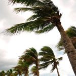 Weather Safety 10 Tips to Prepare against a Storm