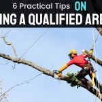 6 Practical Tips On Choosing A Qualified Arborist