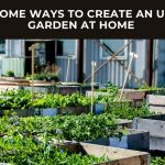 Awesome Ways To Create An Urban Garden At Home 2022