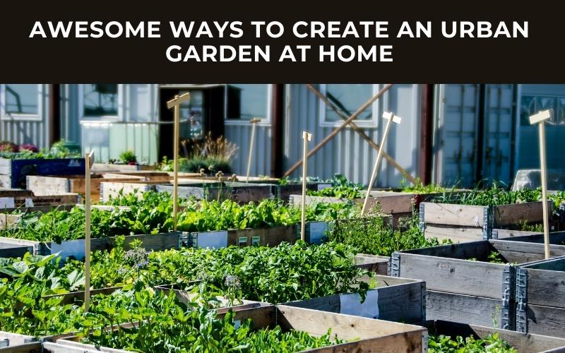 Awesome Ways To Create An Urban Garden At Home - Small House Decor