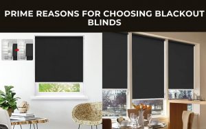 Prime Reasons For Choosing Blackout Blinds