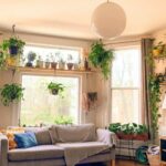 How to Save Space to Incorporate More Plants into Your Small Home in 2023