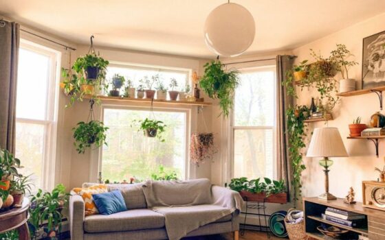 Curated visual reference: Visual Reference: How To Save Space To Incorporate More Plants Into Your