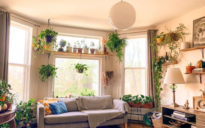 How To Arrange Plants In A Living Room Like A Pro - Small House Decor