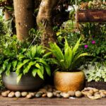 How to Design a Garden 5 Tips in 2023