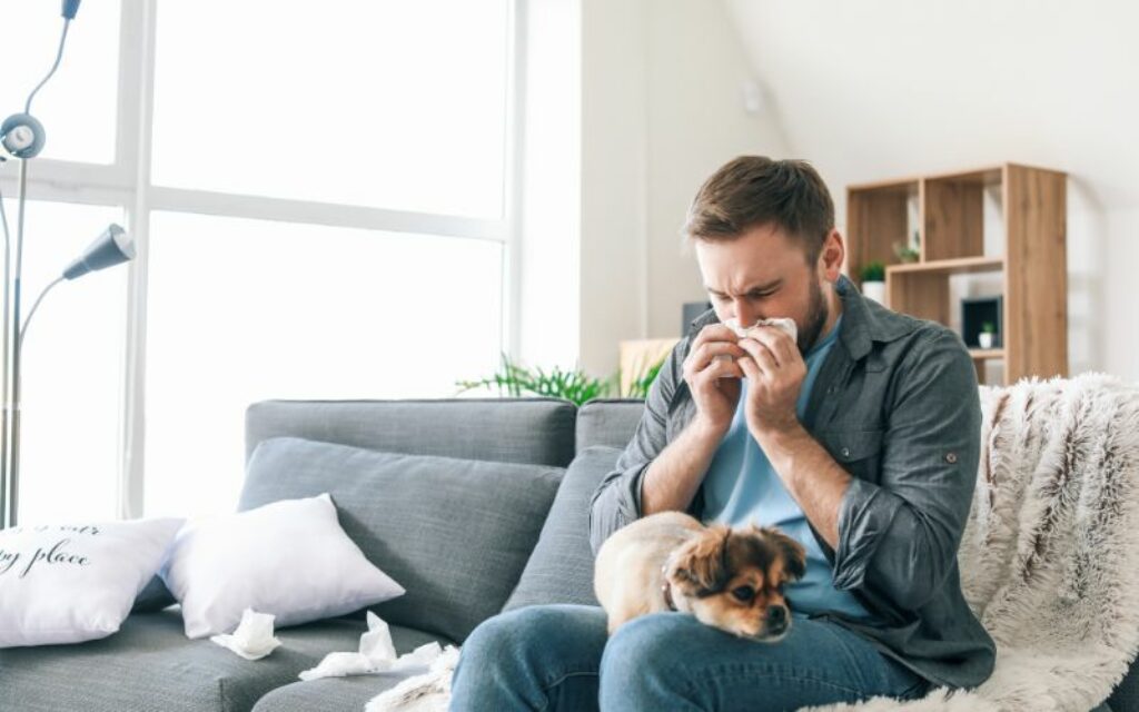 How Can I Reduce Indoor Allergies