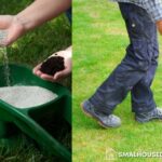 Reasons Why Your Lawn Needs Routine Fertilization