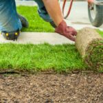 Sod Installation