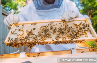 12 Best Tips For People Who Are Interested In Beekeeping