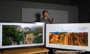 LG Nanocell vs OLED TV