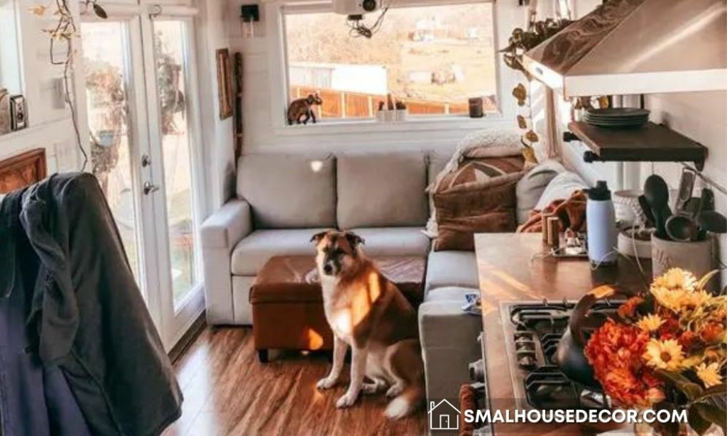 Living With A Large Dog In A Cozy Place Perfect Solutions To Maintain   Living With A Large Dog In A Small House 1024x614 