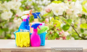 Spring Cleaning Tips for a Fresh Start