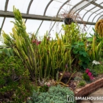 Guide to Setting Up Your Own Indoor Garden