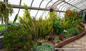 Guide to Setting Up Your Own Indoor Garden