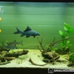 How To Choose An Easy To Maintain House Pet and Aquariums