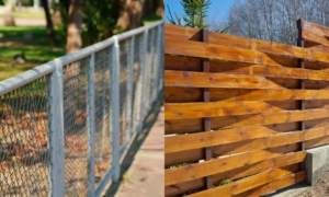 Wood Fence Vs Chain Link
