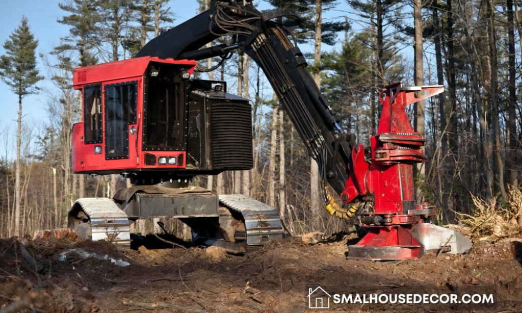Boost Your Home Improvement Projects with a Feller Buncher