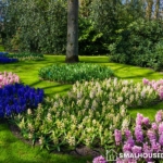 Garden Design Ideas in 2023 To Transform Your Small House 