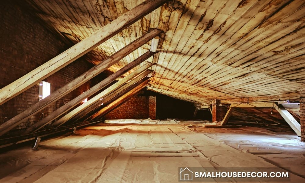 How to Manage Attic Mold Removal in Toronto