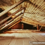 How to Manage Attic Mold Removal in Toronto