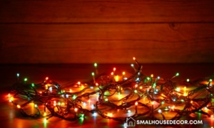 Using Holiday Lighting Services to Spread Wonder and Cheer This Season