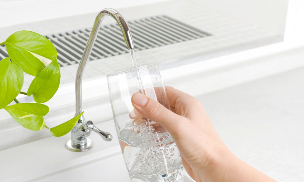 Maintenance Tips for Tap Water Filters Small House Decor
